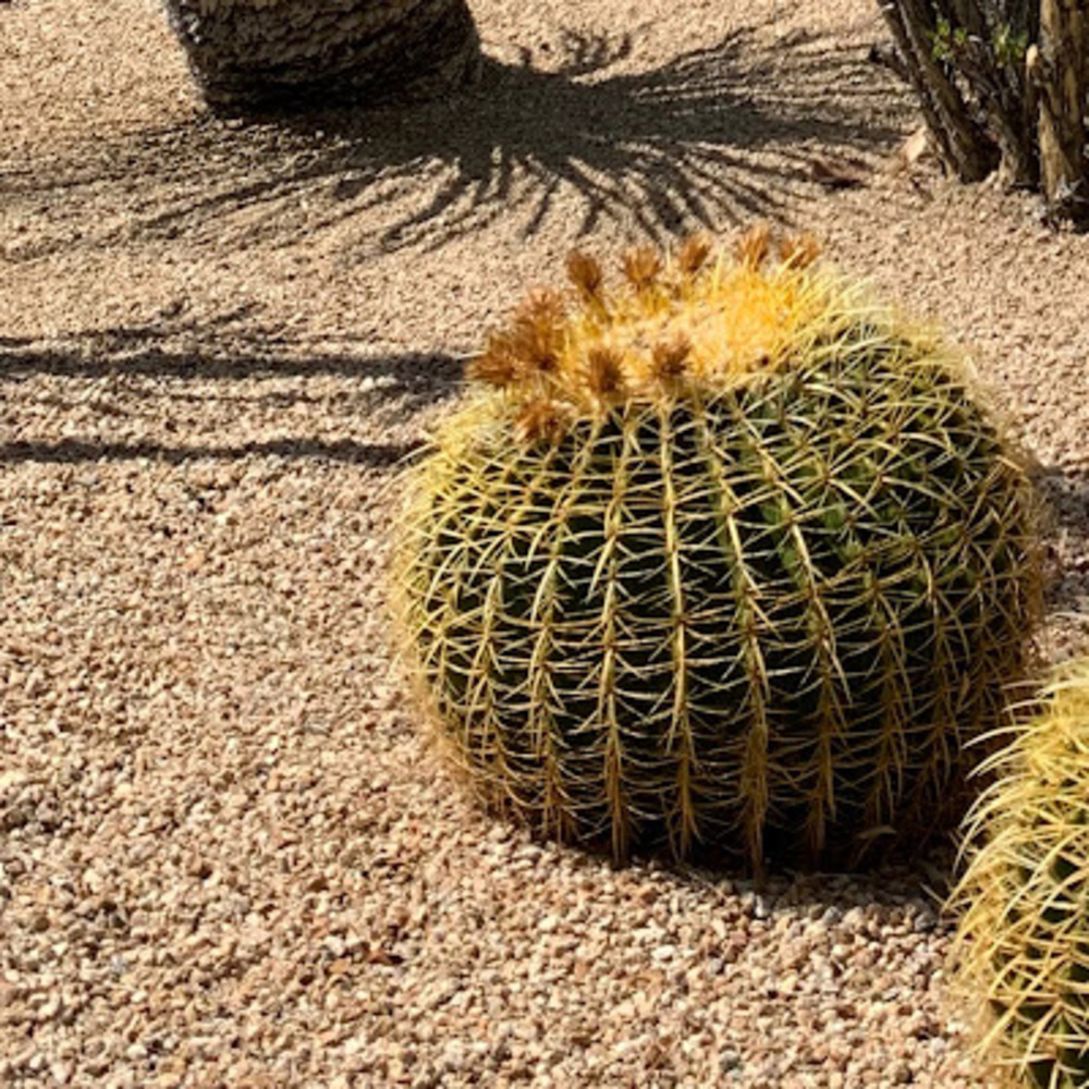 Meet your Posher, Jessie